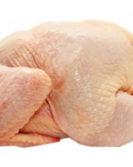 Buy Halal Frozen Whole Chicken Grade A online